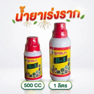 🪴 สารเร่งรากพืช รูทสปา B-1 🌱 น้ำยาเร่งรากเข้มข้น วิตามิน B1 + โบรอนบริสุทธิ์ เร่งดอก ติดผลดก แก้พืชแคระแกร็น
