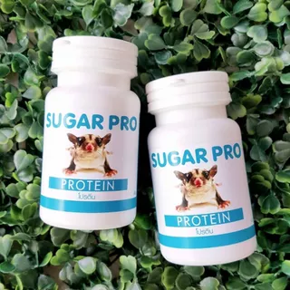 SUGAR PRO ชูก้า โปร อาหารสัตว์เล็ก เช่น ชูก้าไกลเดอร์ หนูแฮมเตอร์ ขนาด 40g ครบสูตร 4 สูตร