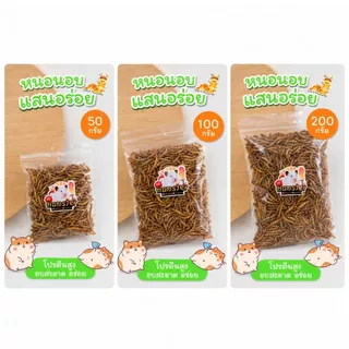 [HiHamster]หนอนนก หนอนแว็กซ์ หนอนนกอบแห้ง หนอนอบเเห้ง หนอน สำหรับสัตว์ฟันแทะ แฮมเตอร์ ชูการ์ เม่นแคระ