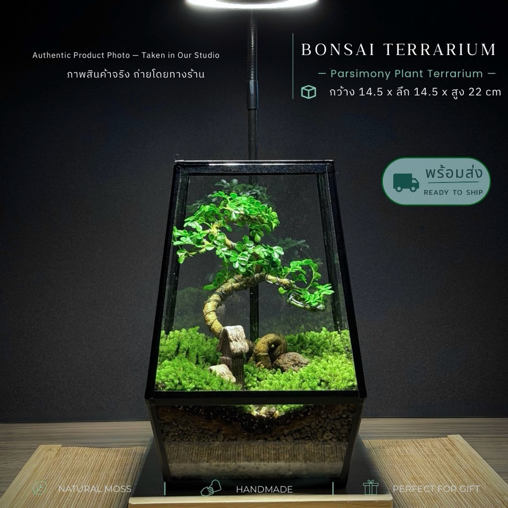 🌻พร้อมส่ง สวนขวดแก้ว Bonsai Terrarium สวนบอนไซ ของแต่งบ้าน ของขวัญ