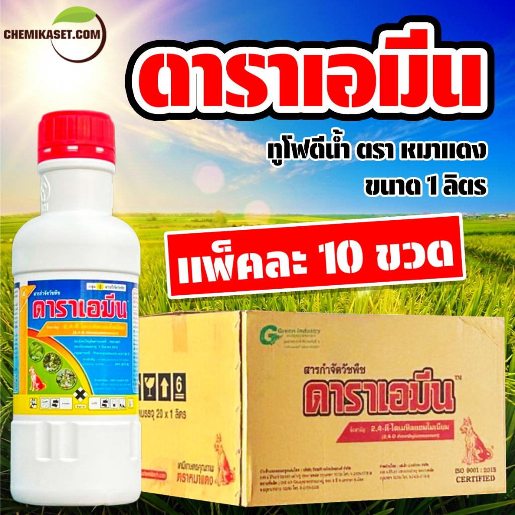 (แพ็ค10ขวด) ดาราเอมีน ขนาด 1 ลิตร ส่งด่วน
