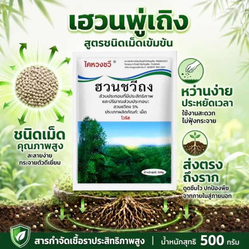 ตรงไปที่ราก!! ยากำจัดต้นไม้ สารกำจัดกอไผ่ ผงกำจัดต้นไผ่ ยาฆ่าตอไม้ 500g สูตรเข้มข้น กำจัดวัชพืชรากเน่า ผลติดทนนาน