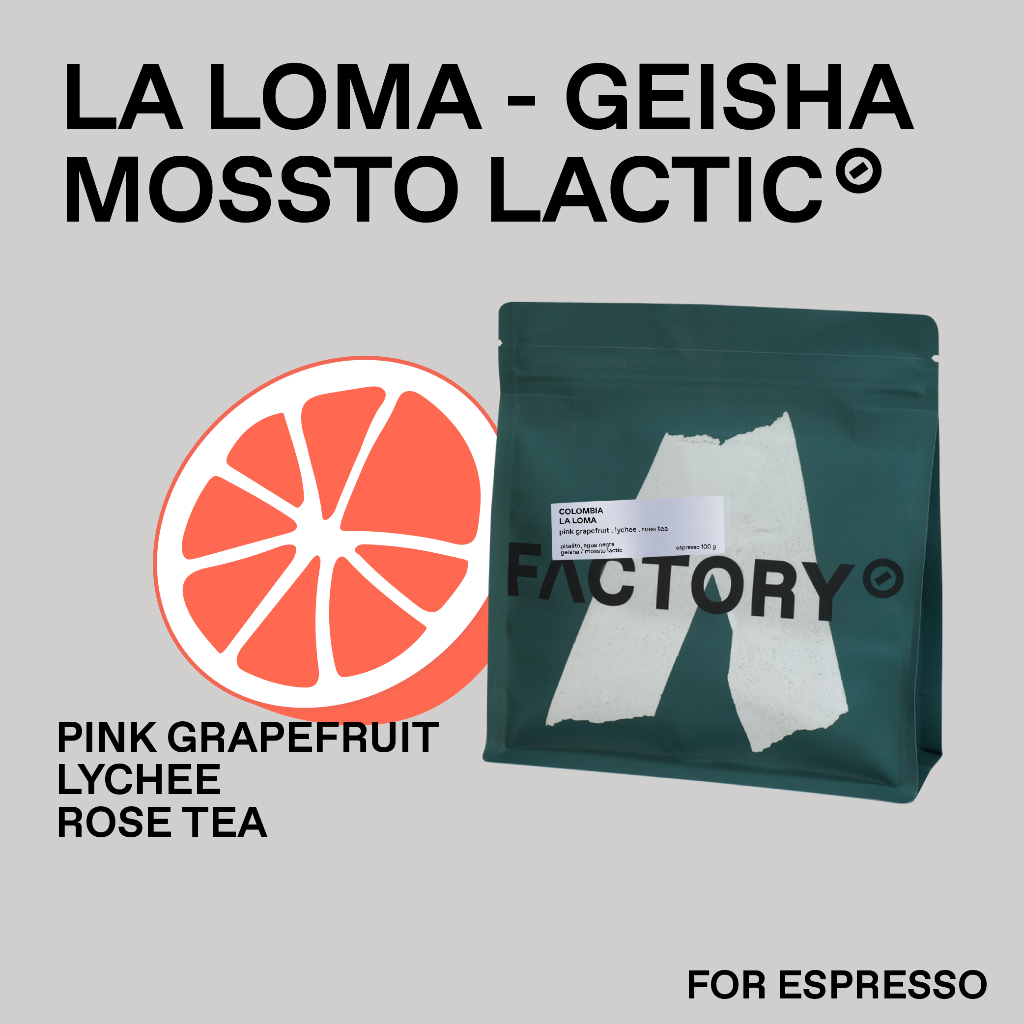 Factory Coffee เมล็ดกาแฟ Colombia - La Loma (Geisha) l Mossto Lactic Process (บรรจุ100g)