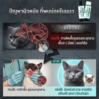 EELJOY Cat Balm บาล์มเเท่งสำหรับเเมว เชื้อรา ยีสต์ ลดอาการคัน ขนร่วง ผลิตภัณฑ์ออแกนิค ขนาด 5 กรัม