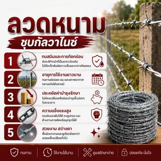 ลวดหนามชุบกัลวาไนซ์ (ยาว60-200เมตร เบอร์14 / 16 / 17) ลวดหนามล้อมรั้ว รั้วลวดหนามถัก ตาข่ายรั้วบ้าน Galvanized Barb Wire