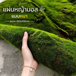 แผ่นหญ้ามอส เหมือนจริง สีเขียวสดสวย ใช้งานได้ยาวนาน ตกแต่งบ้านและสวน (พร้อมส่ง) Moss