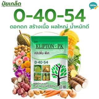 ปุ๋ยเกล็ดคลิปตั้น 0-40-54 ขนาด 1 กก. ปุ๋ยเร่งดอกดก สร้างเนื้อ ผลใหญ่ น้ำหนักดี สีสวย หวานดี พืชทุกชนิด