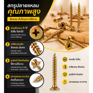ชุดพุกพลาสติกพร้อมสกรู 280 ชิ้น หลายขนาด ยึดเกาะแน่นหนา ติดตั้งง่าย ใช้ได้กับผนังคอนกรีต ผนังอิฐ ผนังเบา เหมาะแขวนกรอบรู