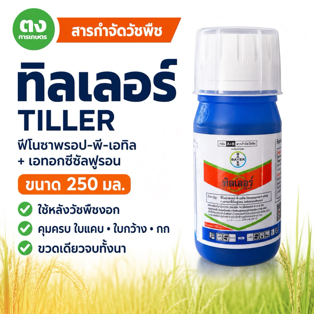 ทิลเลอร์ Tiller ไบเออร์ 250 ซีซี ฟีโนซาพรอป-พี-เอทิล+เอททอกซีซัลฟูรอน 6.9%+2% SC ยาฆ่าหญ้าในนาข้าว ใบแคบ ใบกว้าง กก