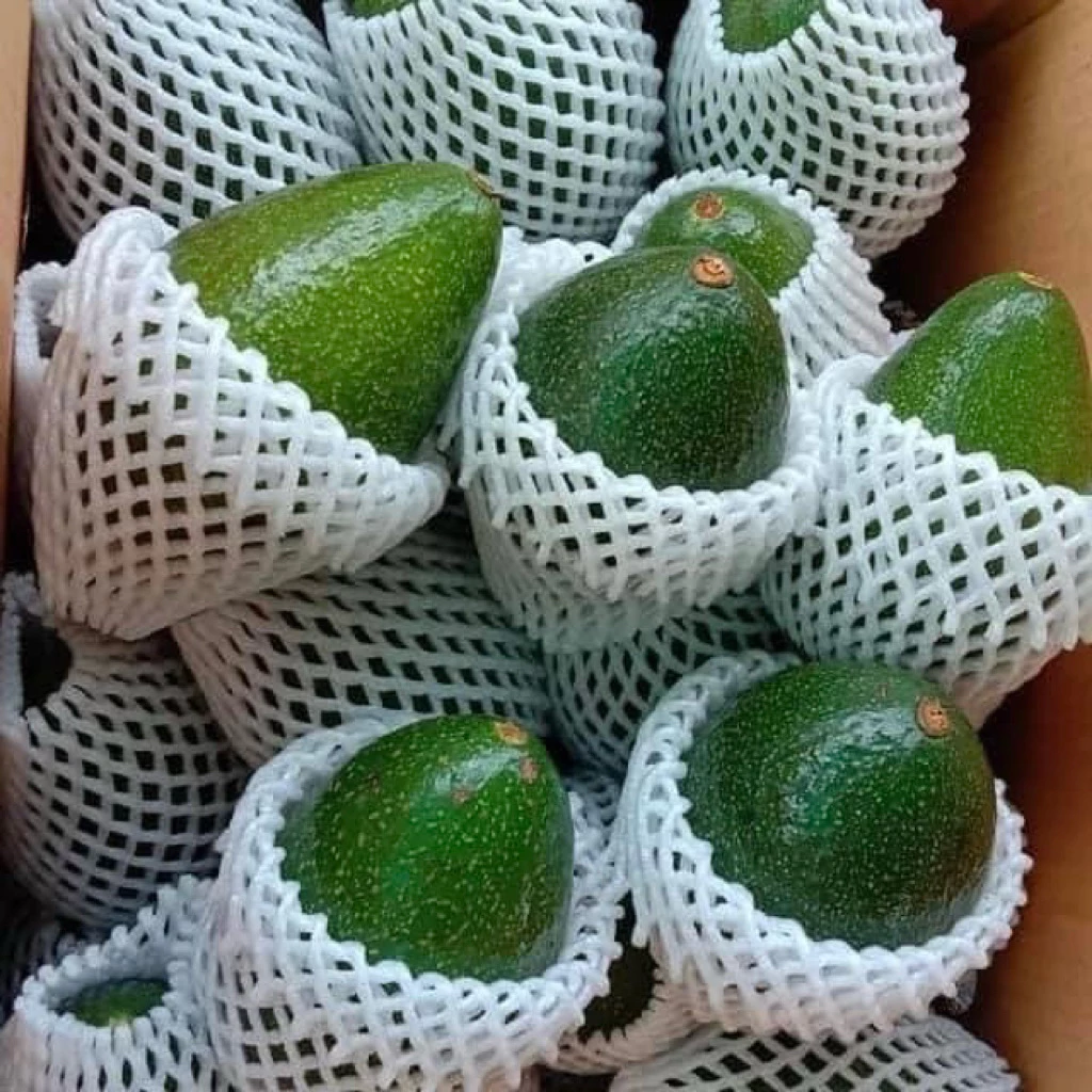 ( 3กิโลกรัมรวมกล่อง) อโวคาโด้พันธุ์บัคคาเนียไข่)ไซส์3-5ลูก/กิโล พร้อมส่ง