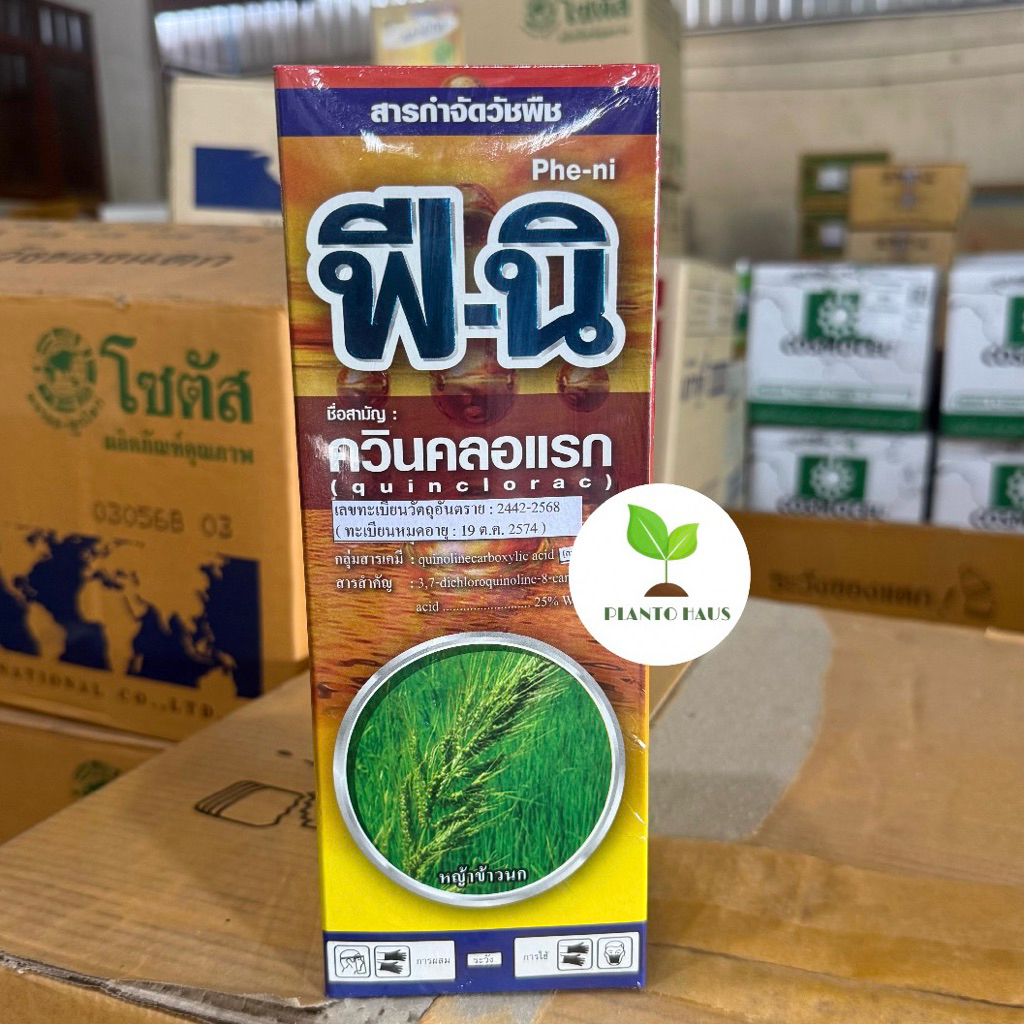 ฟีนิ เคทีโพรเทค ควินคลอแรก ผลิตใหม่1/69 หญ้าข้าวนก 1ลิตร