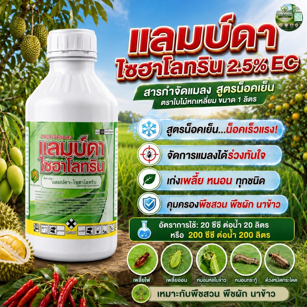 แลมบ์ดา-ไซฮาโลทริน สูตรเย็น 2.5% EC 1 ลิตร กำจัดหนอนชอนใบ หนอนเจาะฝัก เพลี้ยไฟ ( แพค 6 ขวด )