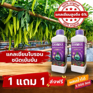 ปุ๋ยแคลเซียมโบรอนเข้มข้น CABMAX 1 แถม 1 นวัตกรรมคีเลต ผลดกโต ติดง่าย ลดการหลุดร่วงขั้วเหนียว (C2)