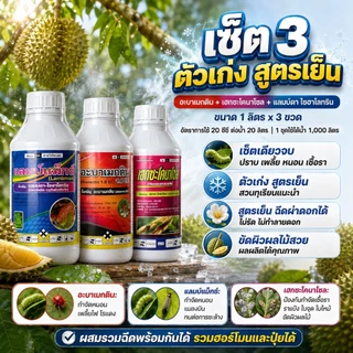 อะบา+เฮกซะ+แลมป์ดา ตัวเก่งสูตรเย็น ปราบ เพลี้ย หนอน แมลง เชิ้อรา ครบจบในชุดเดียว สำหรับการป้องกันและกำจัดแมลงและเชิ้อรา