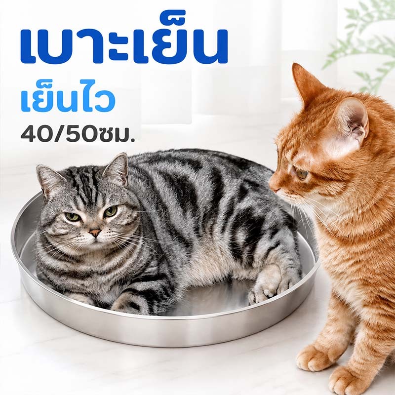 พร้อมส่ง! ถาดเย็นแมว 304 สแตนเลส ขนาด 40/50cm ที่นอนเย็นสัตว์เลี้ยง เย็นสบาย ใช้ได้ทั้งแมวและสุนัข