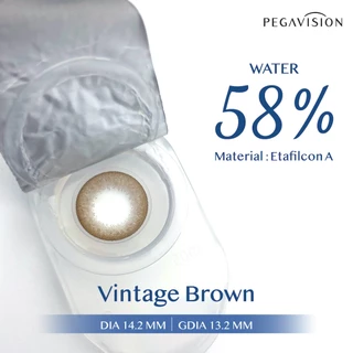 PEGAVISION คอนแทคเลนส์สี รายวัน รุ่น DENIM สี Vintage Brown (10 เลนส์/กล่อง)