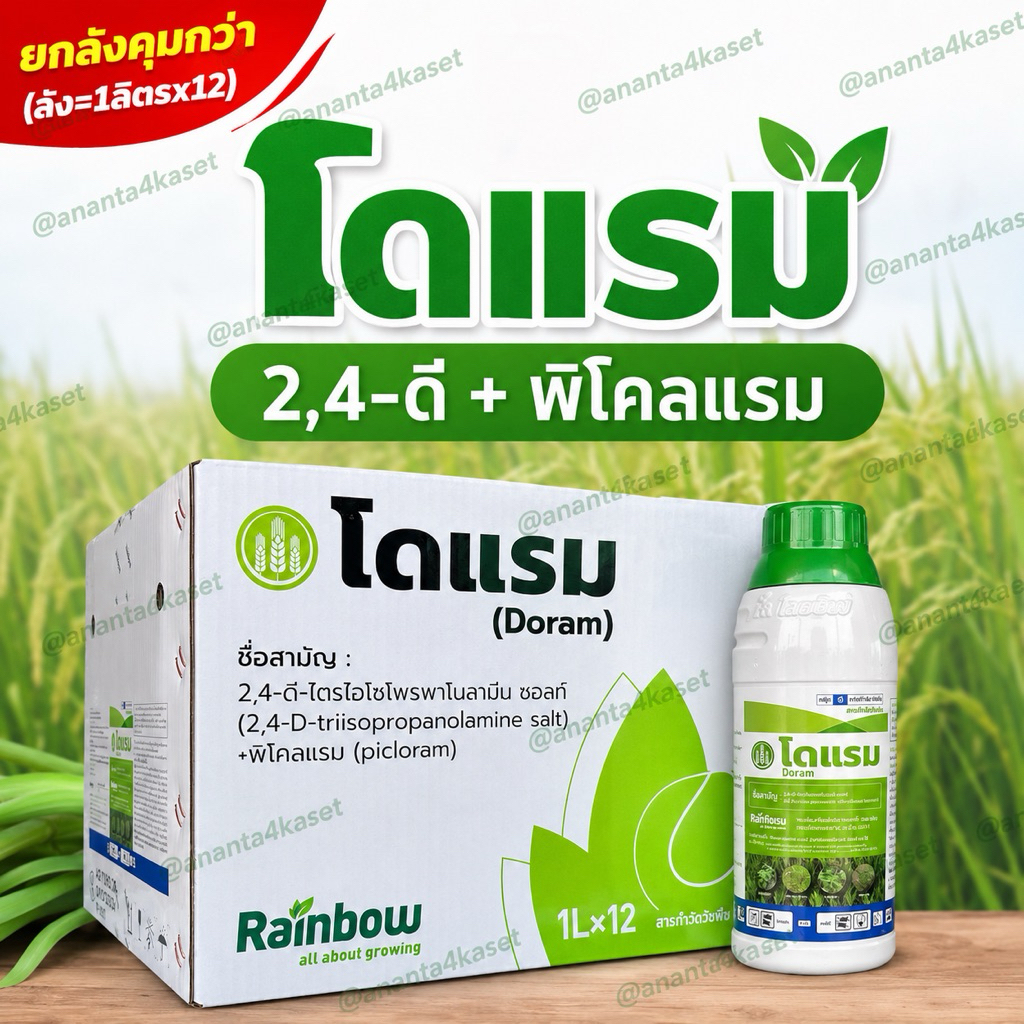 โดแรม ขนาด1ลิตร สินค้ายกลัง สารกำจัดวัชพืช ( 2,4-ดี-ไตรไอโซโพรพาโนลามีน-ซอลต์ + พิโคลแรม 45.2% +11.6%W/V SL) บ.เรนโบว์