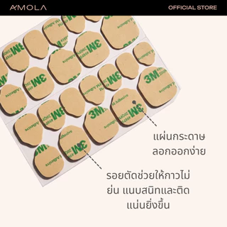 AMOLA อุปกรณ์ติดเล็บอโมล่า กาว3M และกาวใส ติดเล็บ ไม่รีดอากาศ