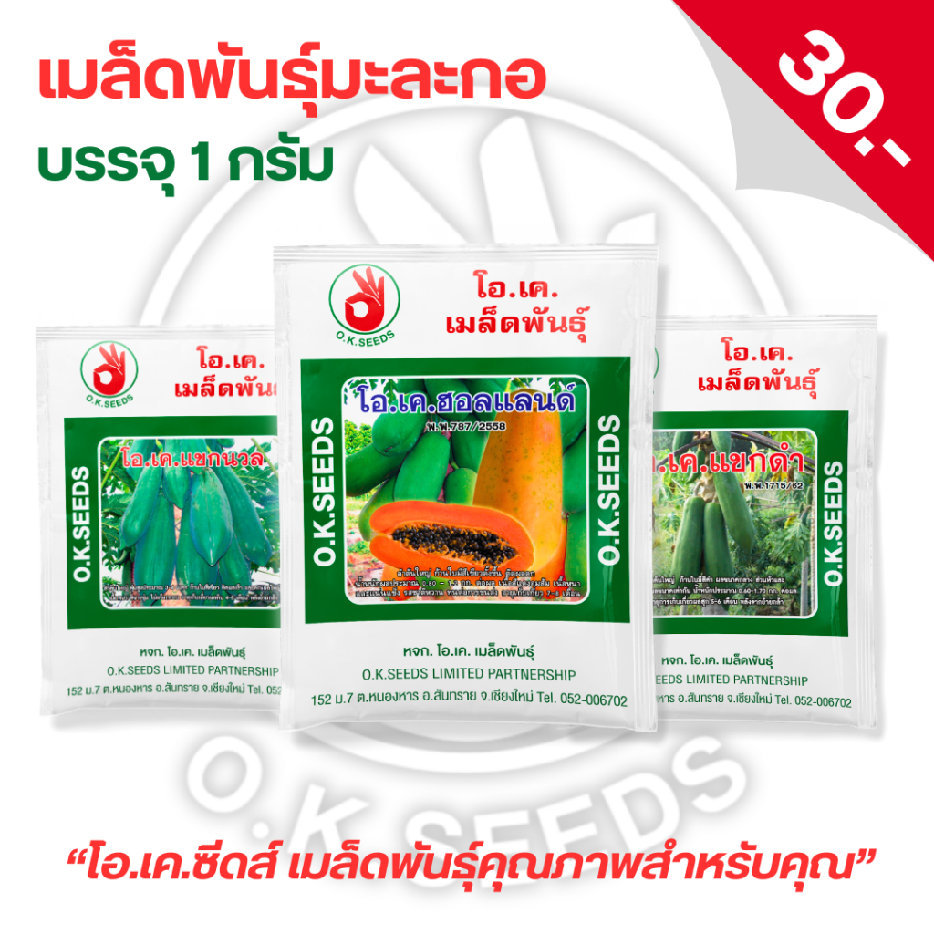 เมล็ดพันธุ์มะละกอ โอเค ซีดส์ OK SEEDS "ทานสุก/ทานส้มตำ/แปรรูป" ซอง 1 กรัม