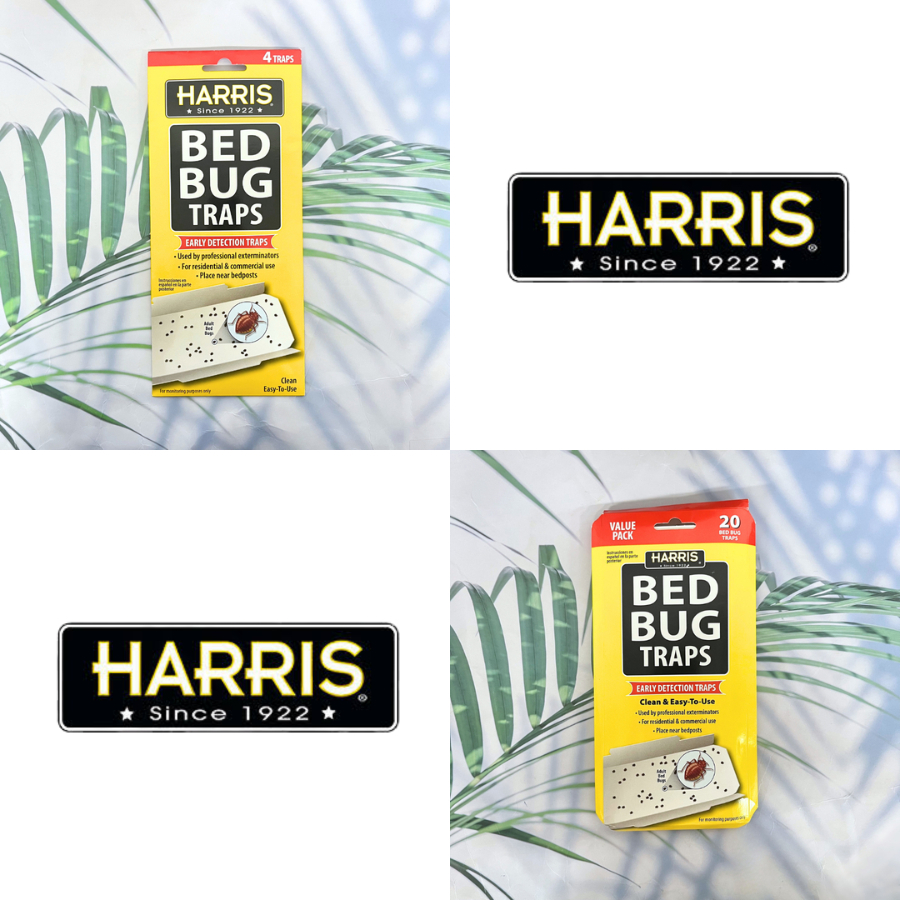 (Harris®) Bed Bug Traps กับดักกาว ดักแมลง