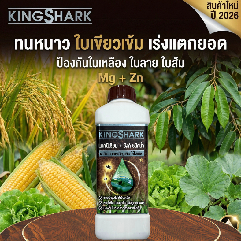 Kingshark คิงชาร์ก แมกนีเซียม + ซิงค์เข้มข้น ( สังกะสี ) ชนิดน้ำ เร่งแตกยอด ใบเขียวเข้ม เสริมการเจริญเติบโตให้พืช KS1