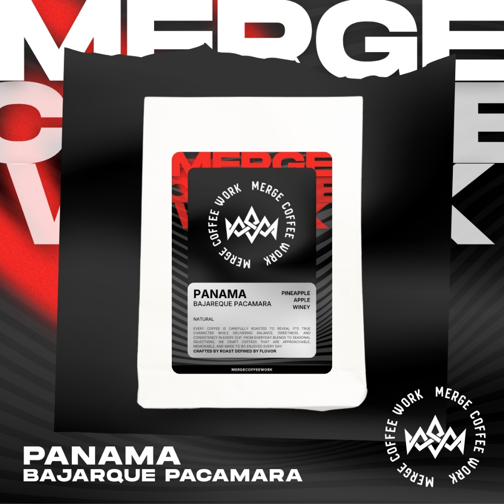 MERGE SINGLE ORIGIN | Panama - Bajarque Pacamara เมล็ดกาแฟพิเศษ คั่วอ่อน