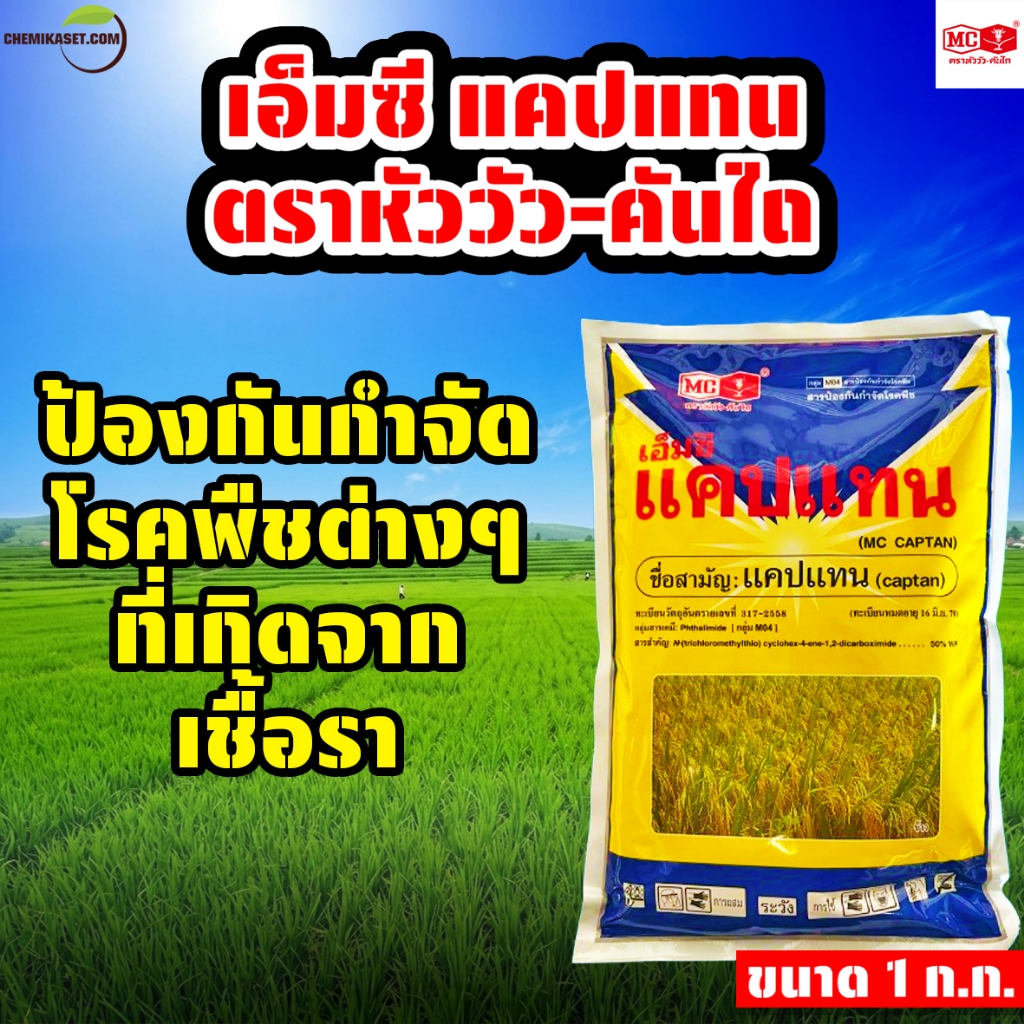 แคปแทน ขนาด 1 ก.ก. สารป้องกันและกำจัดโรคพืชที่เกิดจากเชื้อรา ตรา หัววัว-คันไถ