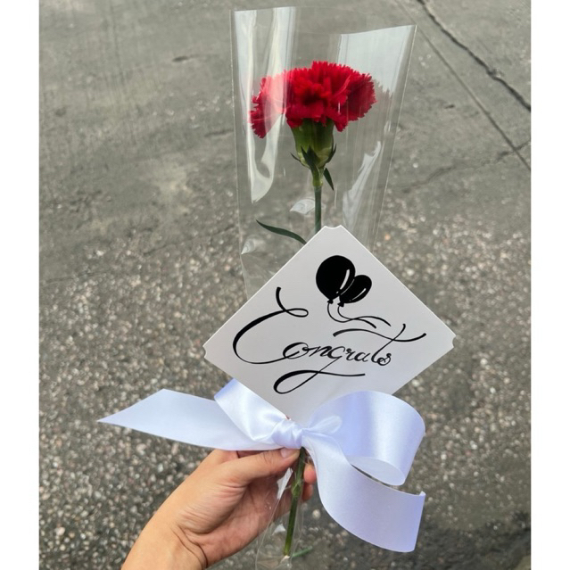 ⏰ ส่งใน2ชม.| Canation คาร์เนชั่น 1 ดอก (สด) - วันแม่ รับปริญญา วันปัจฉิม วันเกิด valentine