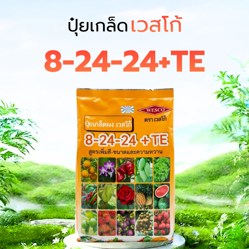 ปุ๋ยเกล็ด เวสโก้ สูตร 8-24-24+TE ปุ๋ยสะสมอาหาร เร่งออกดอก ปุ๋ยหวานขยายผล ปุ๋ยทุเรียน ลำไย มะม่วง ขนาด 1 กก.