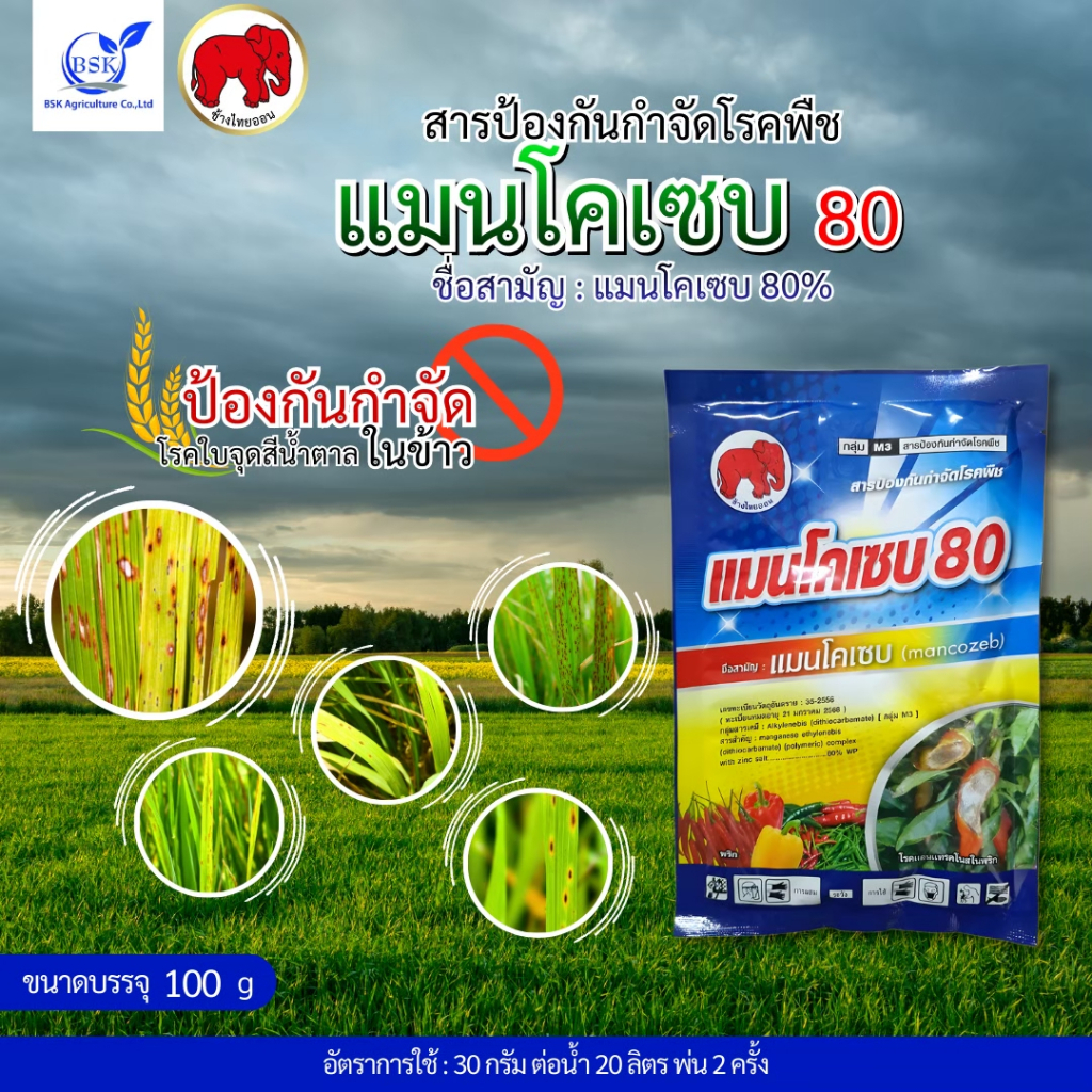 แมนโคเซบ สารกำจัดเชื้อรา ขนาด 100 กรัม (บ.ไทยออน)