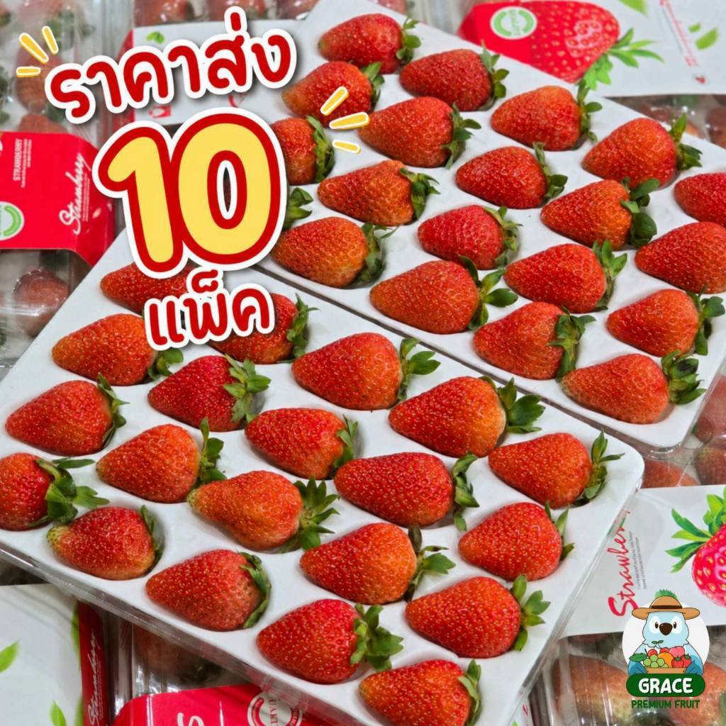 สตอเบอรี่สด 10 แพ็ค ราคาส่ง 🍓🍓 คัดก่อนส่งทุกลูก โปรดอ่านรายละเอียดก่อนสั่งซื้อ