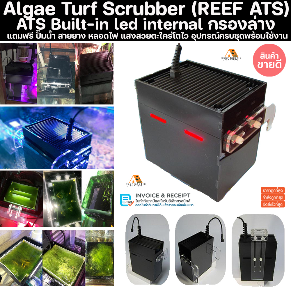 กล่องเลี้ยงตะไคร่ เลี้ยงสาหร่าย ATS ลด NO3 PO4 รุ่นใหม่แขวนในกรองล่าง แถมฟรีอุปกรณ์ครบชุด รองรับขนาดตู้สูงถึง 36นิ้ว