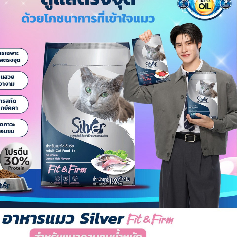 Silver طعام قطط جاف بريميوم 1.2 كغ × 2