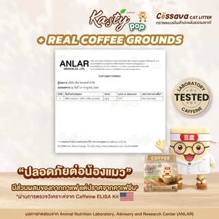 Kasty Pop Cassava Cat Litter ทรายแมวมันสำปะหลังธรรมชาติ 100% ไม่แตกง่าย ไม่ติดกระบะทราย
