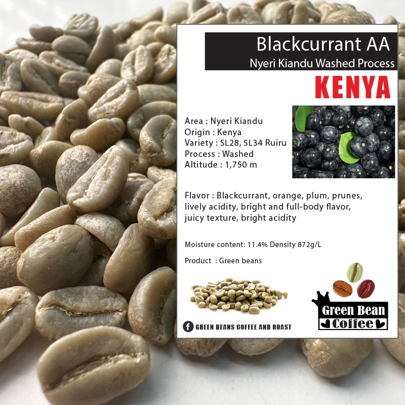 สารกาแฟ KENYA NYERI BLACKCURRANT AA " Washed Process " Green bean ขนาด 1,000 กรัม