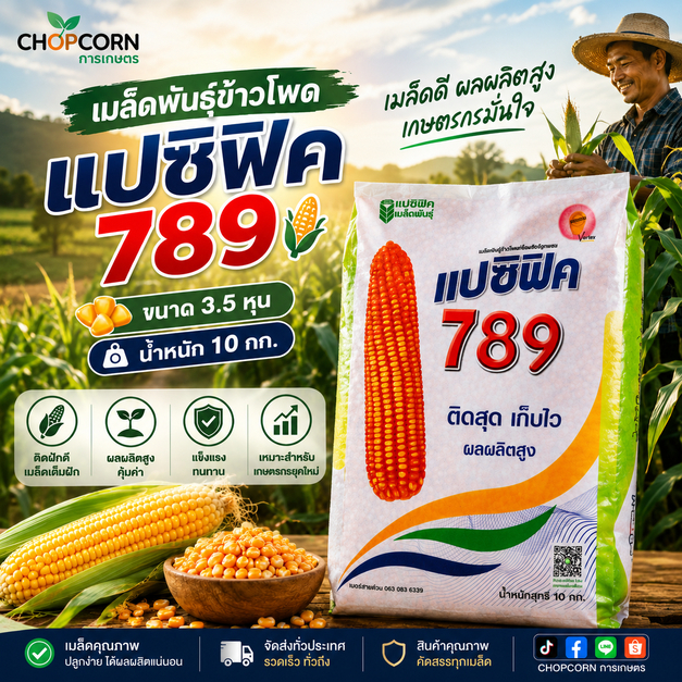 เมล็ดพันธุ์ข้าวโพดแปซิฟิค 789 3.5 หุน 10 กิโลกรัม ผลผลิตสูง