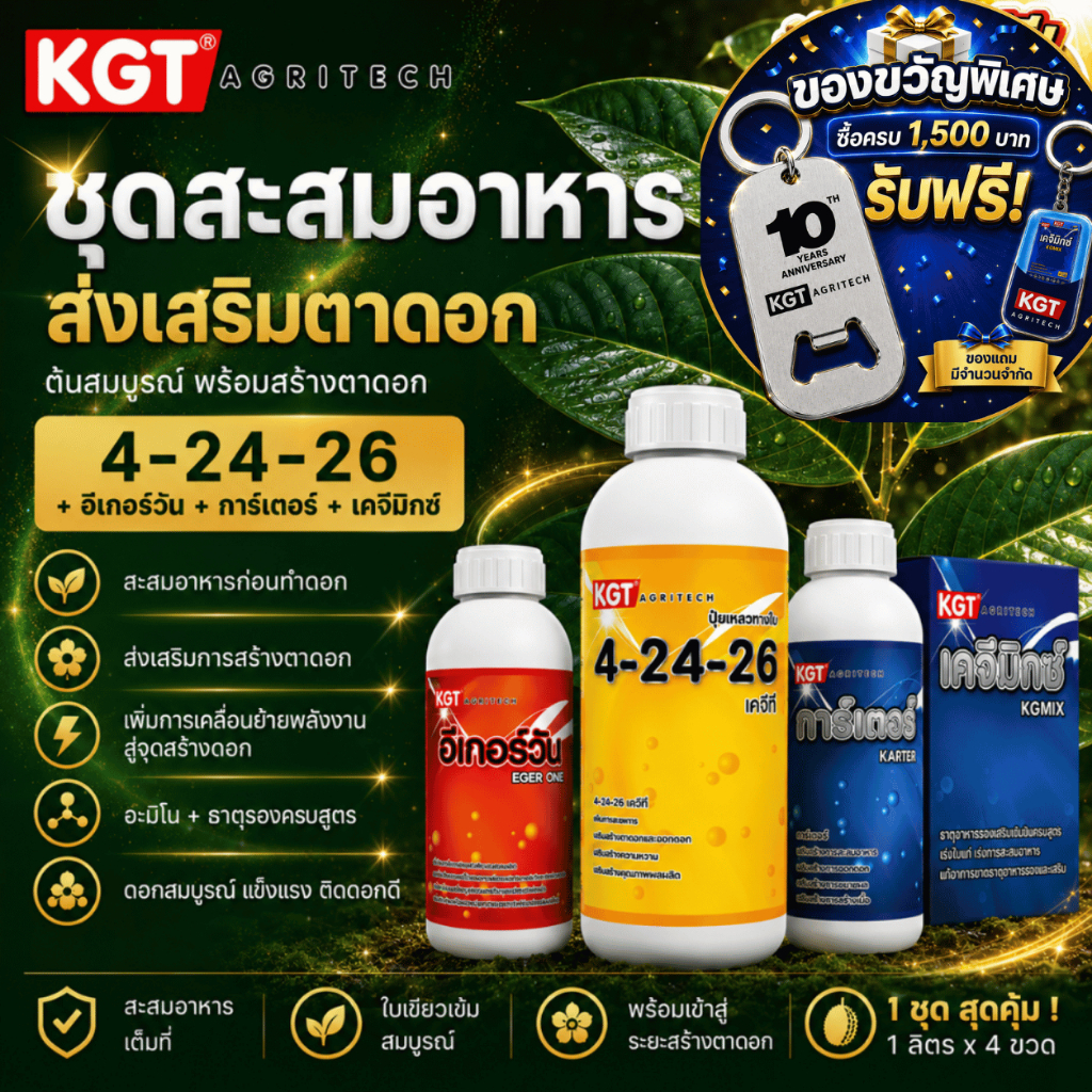 KGT ชุดสะสมอาหาร กระตุ้นการสร้างตาดอก เพิ่มพลังงานต้น เตรียมพร้อมก่อนทำดอก 4-24-26 + อีเกอร์วัน + การ์เตอร์ + เคจิมิกซ์