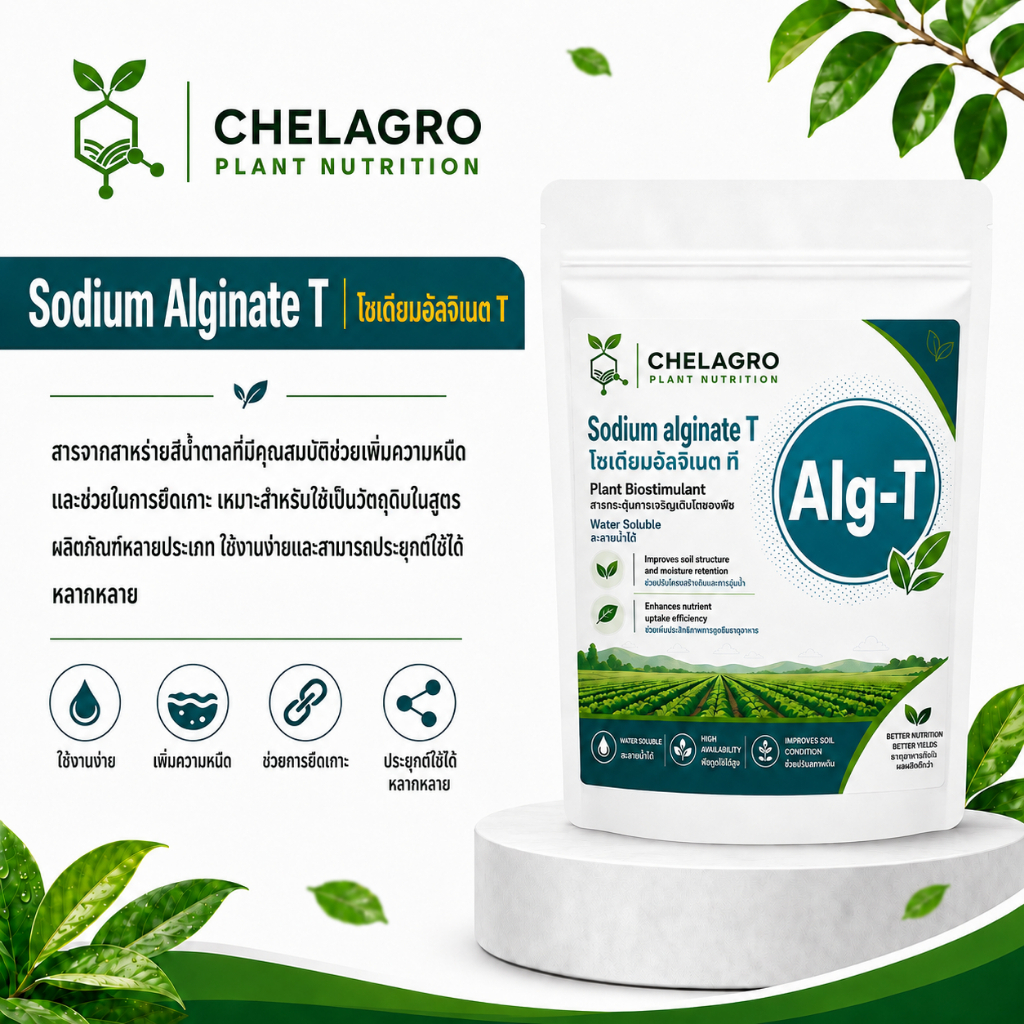 Sodium Alginate T | โซเดียมอัลจิเนต T