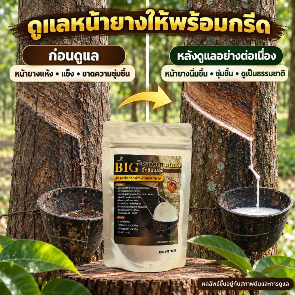 บิ๊กรับเบอร์ พลัส | ฟื้นฟูหน้ายางตายนึ่ง เปลือกแข็ง | คืนชีพหน้ายางใน 4 รอบ