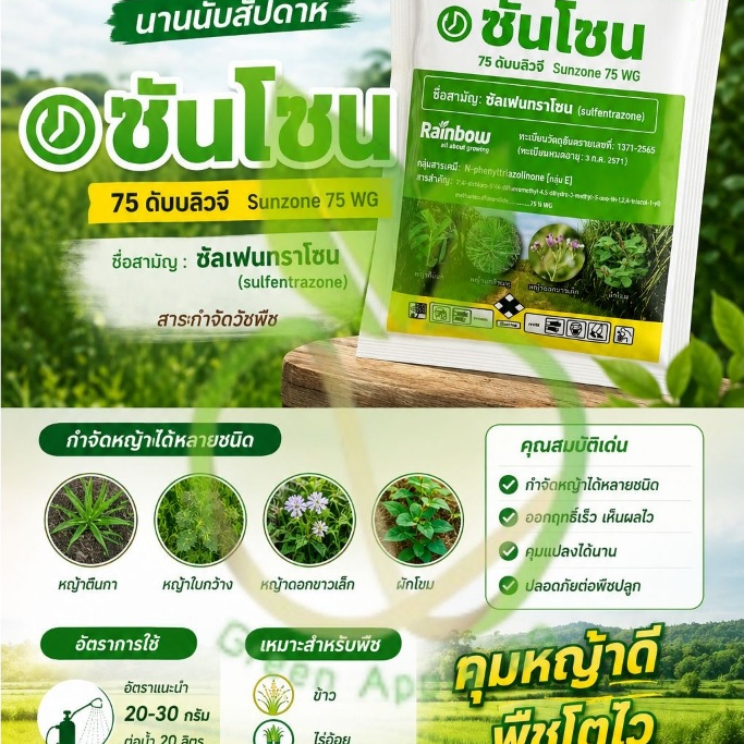 ซันโซน ซันเฟนทราโซล 75% WG ขนาด 20/100 กรัม กำจัดวัชพืชตระกูลกกและแห้วหมู  กำจัดหญ้าในอ้อย ใช้ก่อนวัชพืชงอก