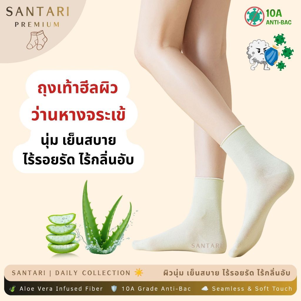 𝗦𝗔𝗡𝗧𝗔𝗥𝗜 𝗔𝗹𝗼𝗲 𝗦𝗼𝗳𝘁 | ถุงเท้าว่านหางจระเข้ พรีเมี่ยม นุ่ม สปาเท้า ลดส้นเท้าแห้ง ขอบยืดหยุ่น กันแบคทีเรีย 10A ใส่สบาย