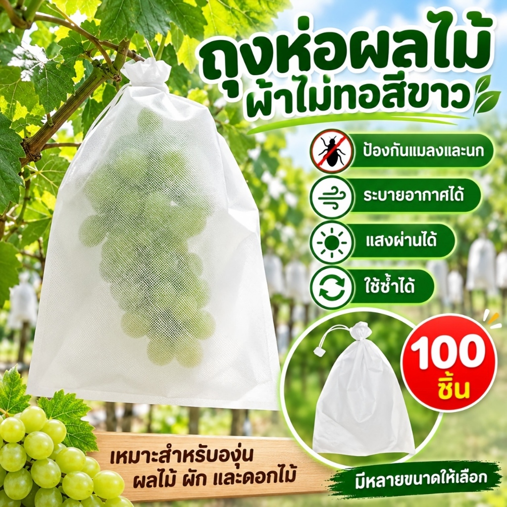 100 ใบ ถุงห่อผลไม้ ถุงห่อมะม่วง ใช้ห่อกันแมลง เพลี้ย แสงแดดไม่ต้องห่อกระดาษทับ ใช้ซ้ำได้ ไม่มีไอน้ำเกาะในถุง ถุงห่อฝรั่ง