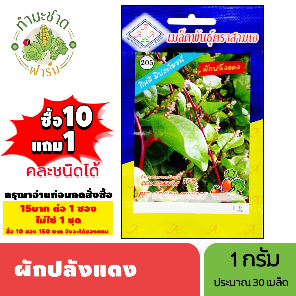 [1ซอง] 3A (ซื้อ10แถม1) เมล็ดพันธุ์ ผักปลังแดง ขนาด1กรัม ประมาณ30เมล็ด RED CEYLON SPINACH ผักปั๋ง เมล็ดพันธุ์พืช เมล็ดผัก