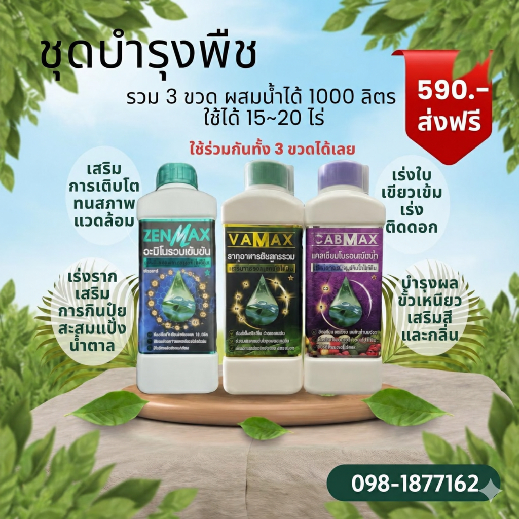 C1+V1+Z1 ชุดบำรุงพืช 3 ขวด! Vamax+Cabmax+Zenmax ปุ๋ยธาตุอาหารรวม แคลเซียมโบรอน อะมิโน 18 ชนิด