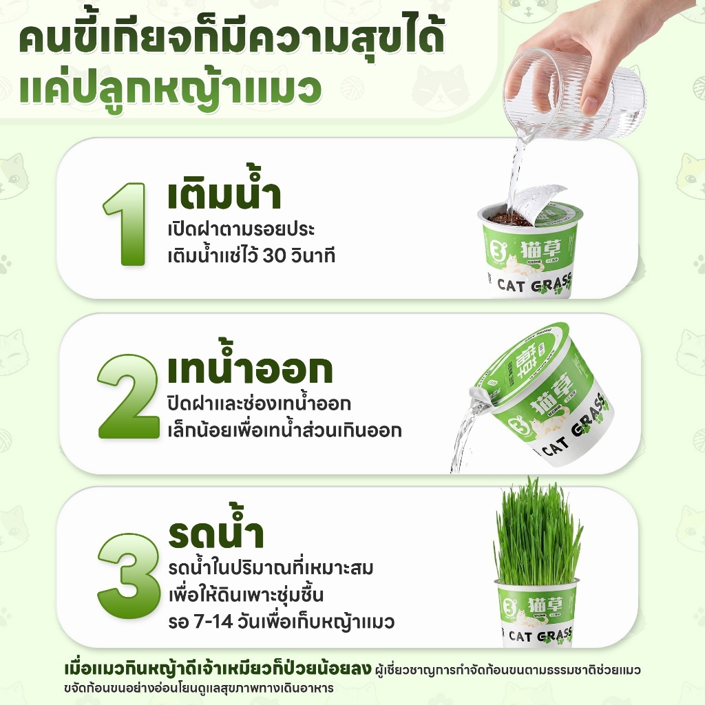 yoyopet : หญ้าแมว ชุดปลูกข้าวสาลี ชุดหญ้าออร์แกนิคพร้อมปลูก วิตามินแมว สำหรับหมา,แมว,หนู,กระต่ายฯลฯ รูปที่ 3