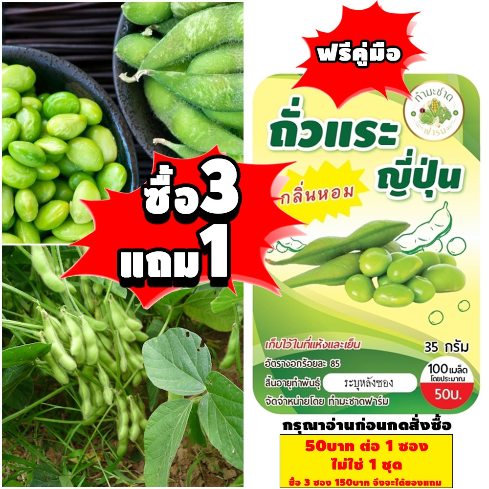 [1ซอง] ทำมะชาดฟาร์ม (ซื้อ3แถม1) เมล็ดพันธุ์ ถั่วแระญี่ปุ่น ขนาด35กรัม ประมาณ100เมล็ด Edamame Japanese Soybean ถั่วแระ เม