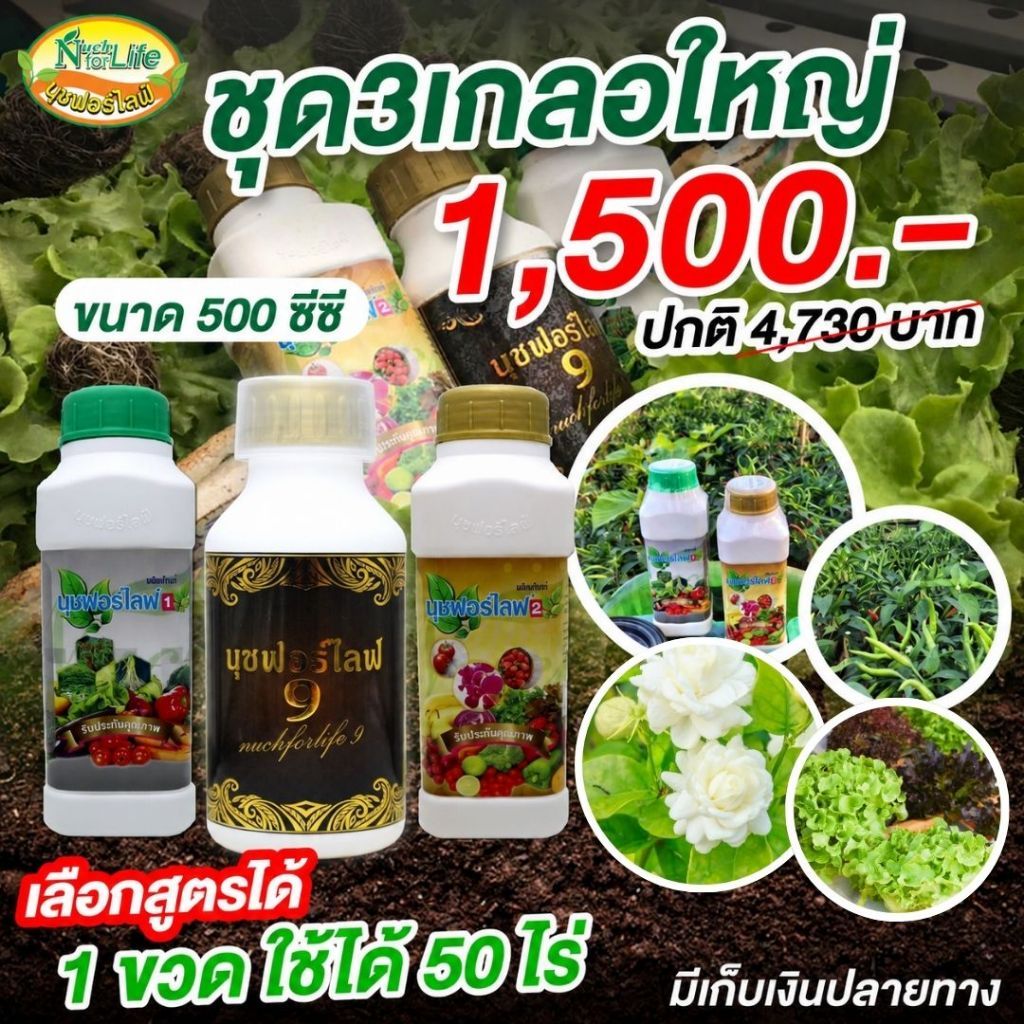 นุชฟอร์ไลฟ์ขนาด500cc  3 ขวด   /ปุ๋ยน้ำ  / สินค้าเกษตร