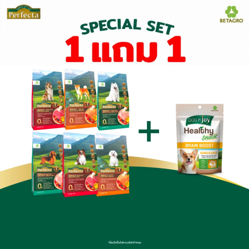[Special Set] เซ็ตอาหารสุนัข Perfecta คละสูตร ขนาด 1-3 กก. + ขนมสุนัขเสริมวิตามิน DOG n joy Healthy snack สูตรบำรุงสมอง