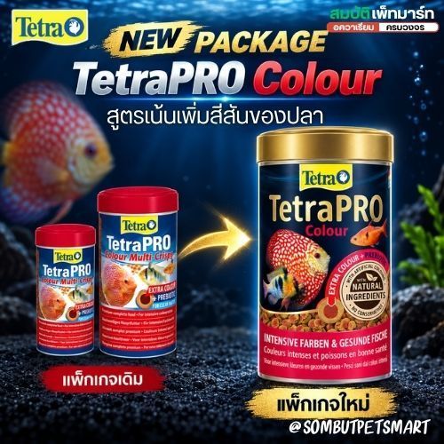 TETRAPro Color Multi Crisps อาหารสูตรเร่งสีระดับพรีเมี่ยม มี BioActive ช่วยดูแลระบบภูมิคุ้มกัน