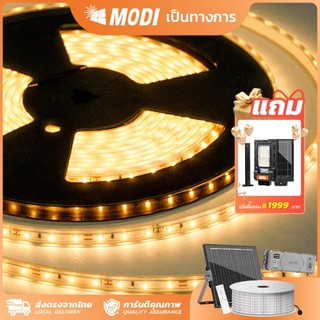 MODI ไฟเส้น ไฟริบบิ้นโซล่าเซลล์ ยาว10M20M30M50M ระบบสว่างค้าง กันน้ำIP65 ตกแต่งต้นไม้และสวน รั้วบ้าน